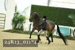 24R13_01174 thumbnail