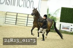 24R13_01175 thumbnail