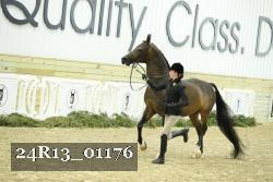 24R13_01176 thumbnail