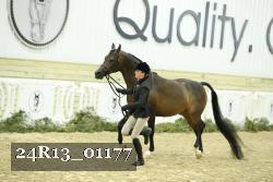 24R13_01177 thumbnail
