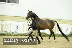 24R13_01178 thumbnail