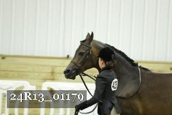 24R13_01179 thumbnail