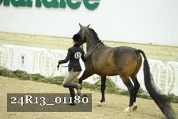 24R13_01180 thumbnail