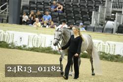 24R13_01182 thumbnail