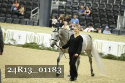 24R13_01183 thumbnail