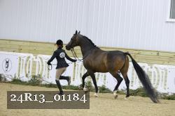24R13_01184 thumbnail