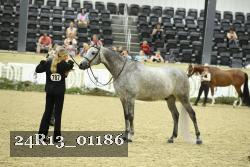 24R13_01186 thumbnail