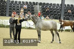 24R13_01187 thumbnail