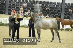 24R13_01189 thumbnail