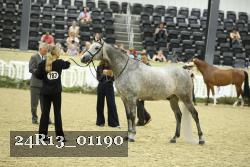 24R13_01190 thumbnail
