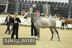 24R13_01191 thumbnail
