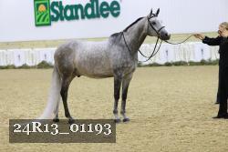 24R13_01193 thumbnail