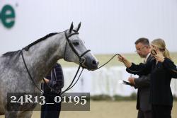 24R13_01195 thumbnail