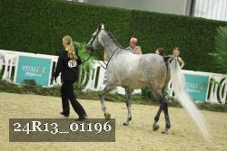 24R13_01196 thumbnail