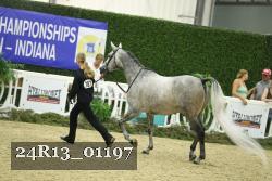 24R13_01197 thumbnail
