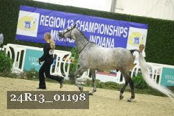 24R13_01198 thumbnail