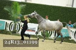 24R13_01199 thumbnail