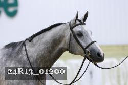 24R13_01200 thumbnail