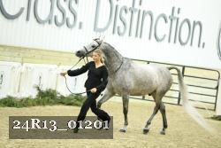 24R13_01201 thumbnail