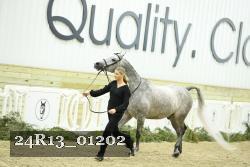 24R13_01202 thumbnail
