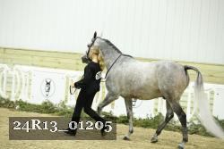 24R13_01205 thumbnail