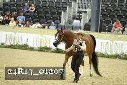 24R13_01207 thumbnail