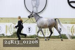 24R13_01208 thumbnail
