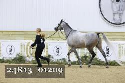 24R13_01209 thumbnail