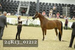 24R13_01212 thumbnail