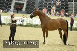 24R13_01213 thumbnail