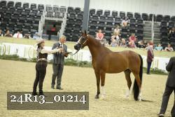 24R13_01214 thumbnail