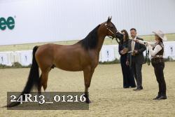 24R13_01216 thumbnail