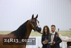 24R13_01217 thumbnail
