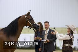 24R13_01218 thumbnail