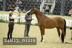 24R13_01219 thumbnail