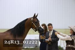 24R13_01222 thumbnail