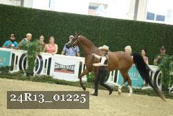 24R13_01225 thumbnail