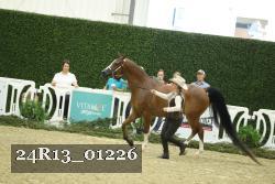 24R13_01226 thumbnail