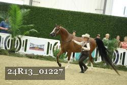 24R13_01227 thumbnail