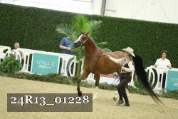 24R13_01228 thumbnail