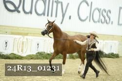 24R13_01231 thumbnail