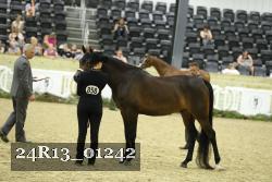 24R13_01242 thumbnail