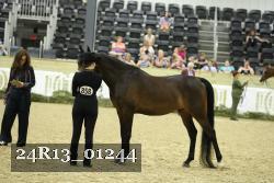 24R13_01244 thumbnail