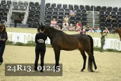 24R13_01245 thumbnail