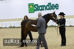 24R13_01246 thumbnail