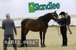 24R13_01247 thumbnail