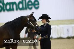 24R13_01248 thumbnail