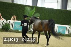 24R13_01249 thumbnail