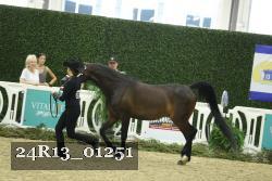 24R13_01251 thumbnail