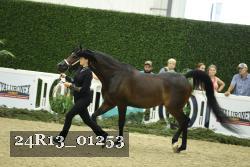 24R13_01253 thumbnail